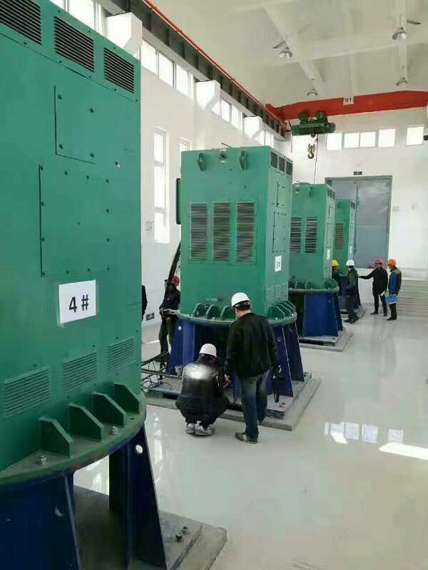 金江镇某污水处理厂使用我厂的立式高压电机安装现场